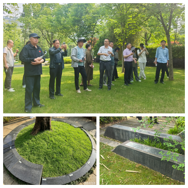 图片 12.png